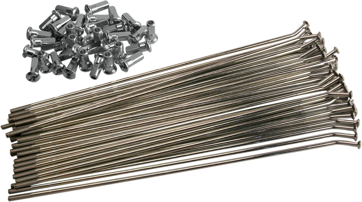 02110072_0.png