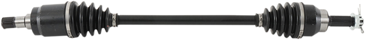 02141374_1.png