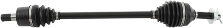 02141386_0.png