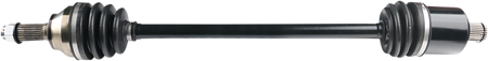 02141831_0.png