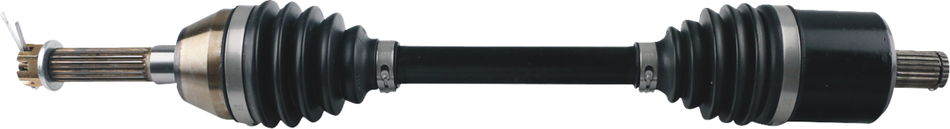 02142796_0.png