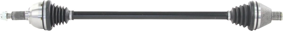 02142862_0.png
