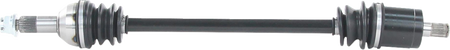 02142872_0.png