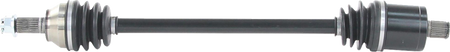 02142879_0.png