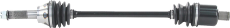 02142881_0.png