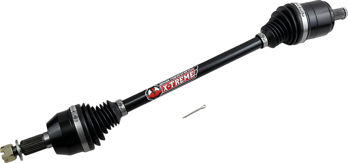 02142946_1.png