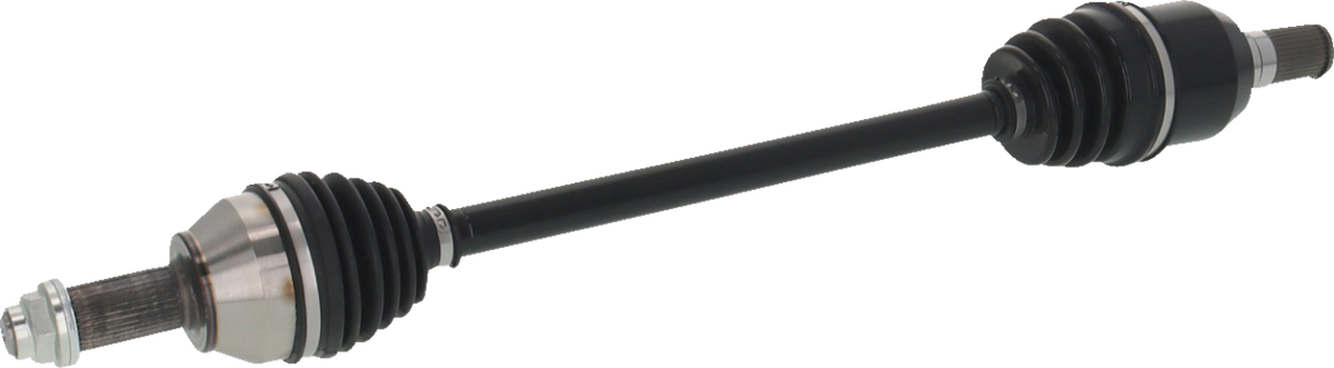 02143198_2.png