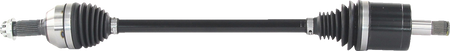 02143209_1.png