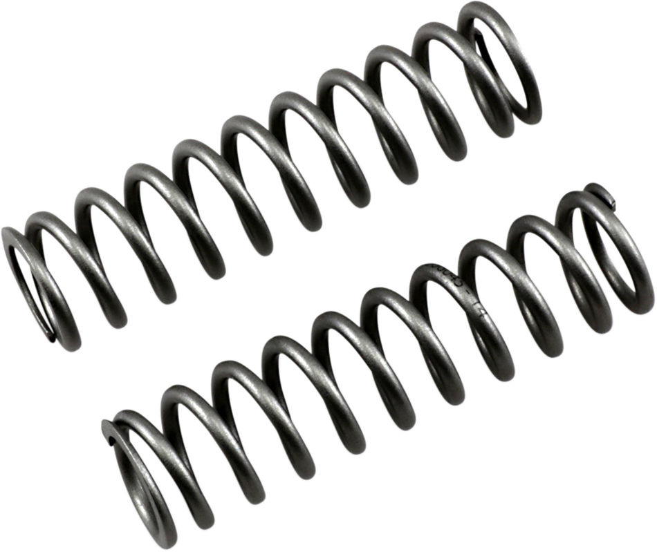 04050248_0.png
