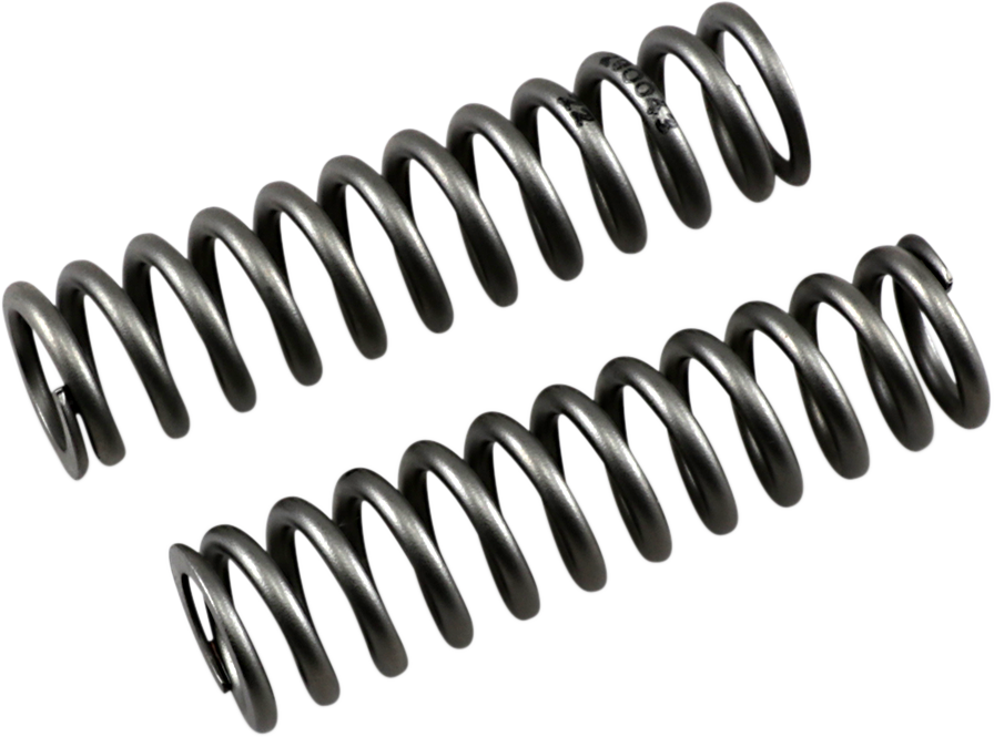 04050250_0.png