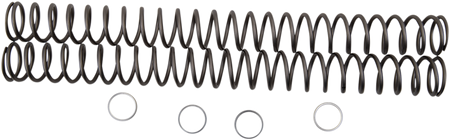 04050262_0.png