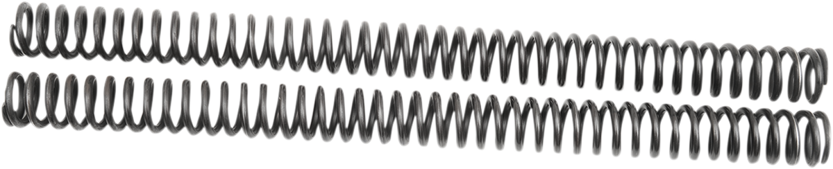 04050485_1.png