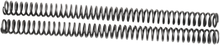 04050485_1.png