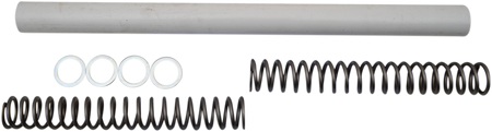 04050497_0.png