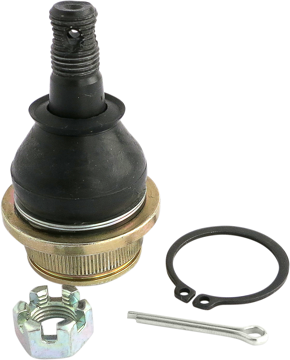Ball Joint - Lower – Ride Direct