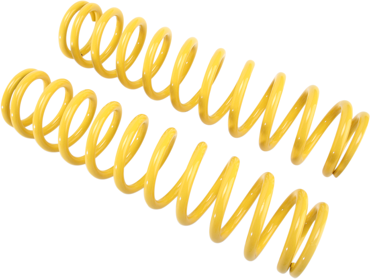 04310448_1.png
