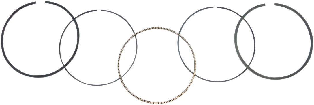 09120484_0.png