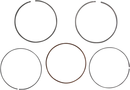 09120548_0.png