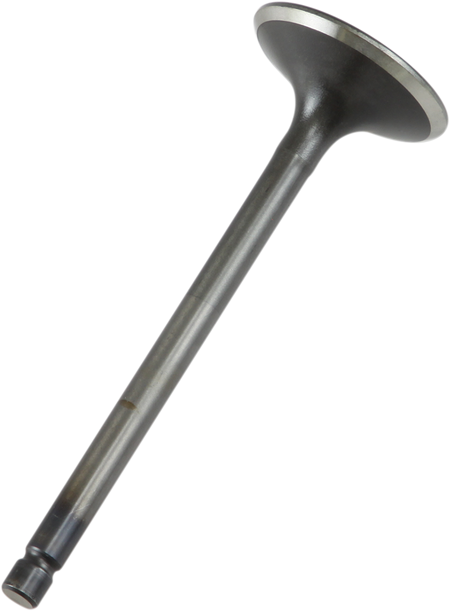 09260684_0.png