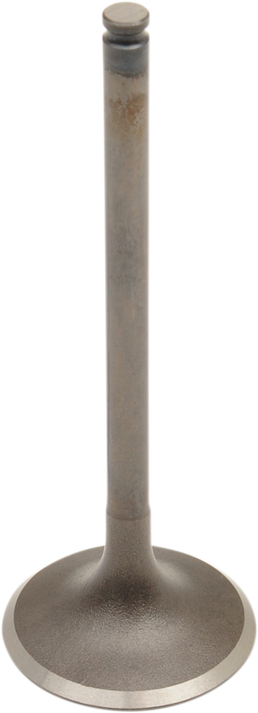 09260689_0.png