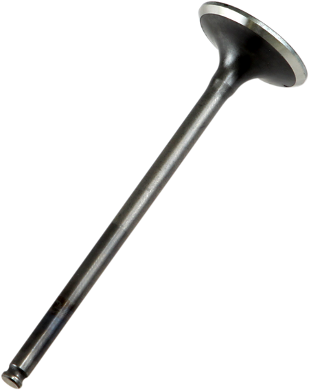 09261419_0.png