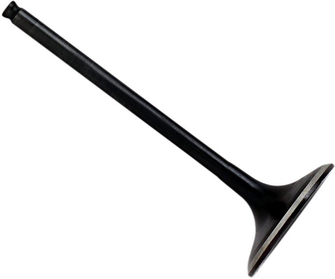 09261656_0.png