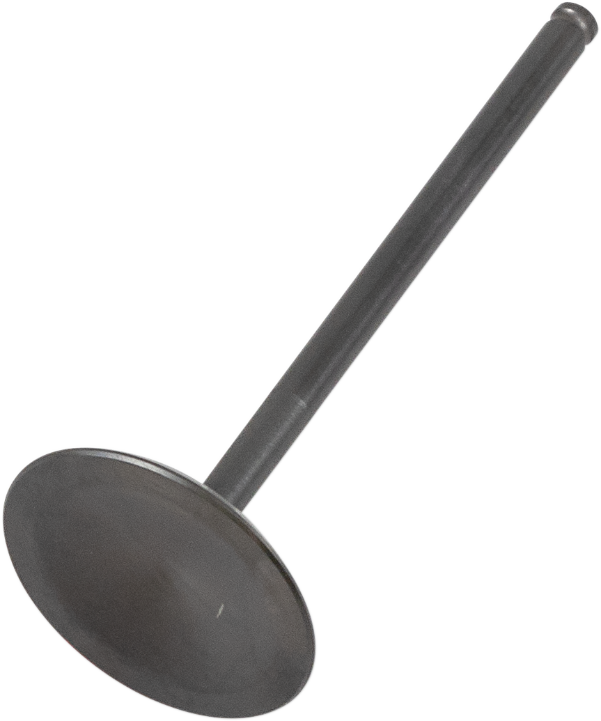 09261689_0.png