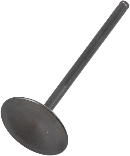09261689_0.png
