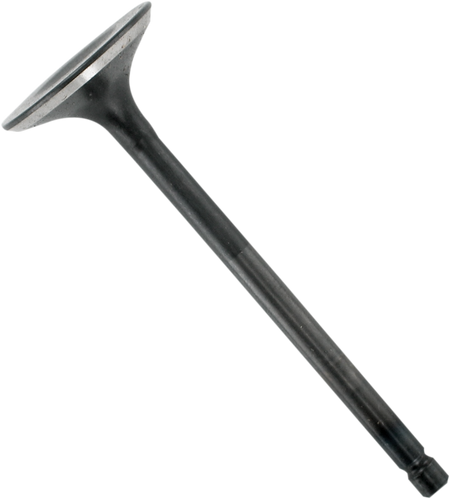 09261741_0.png