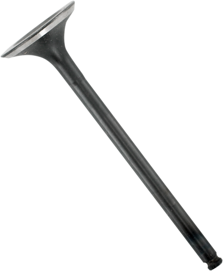 09261742_0.png