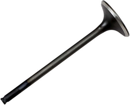 09262234_0.png