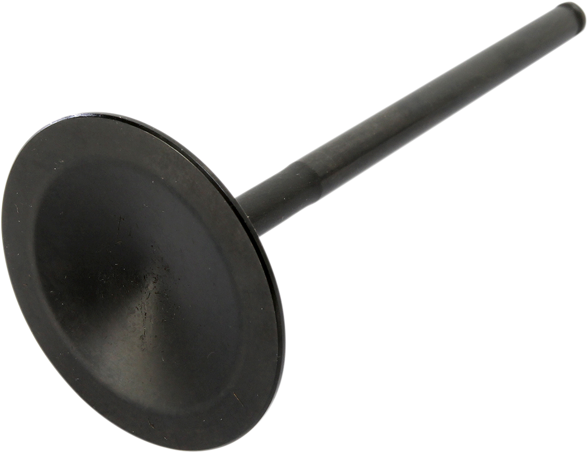 09262681_1.png