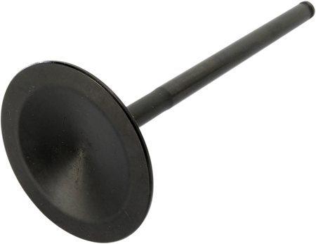 09262681_1.png