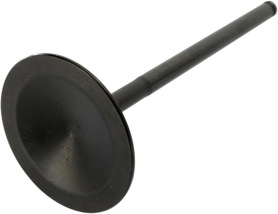 09262681_1.png