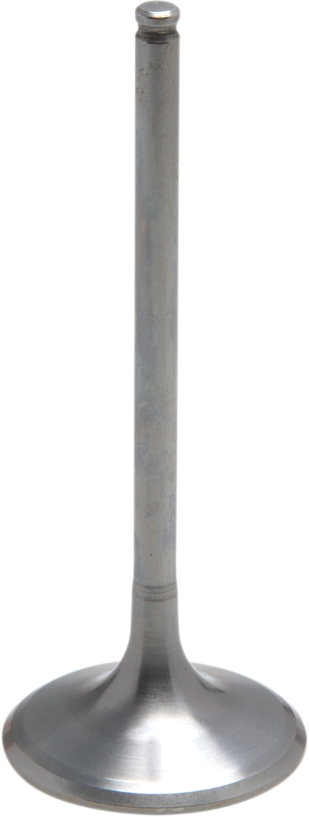09262746_0.png