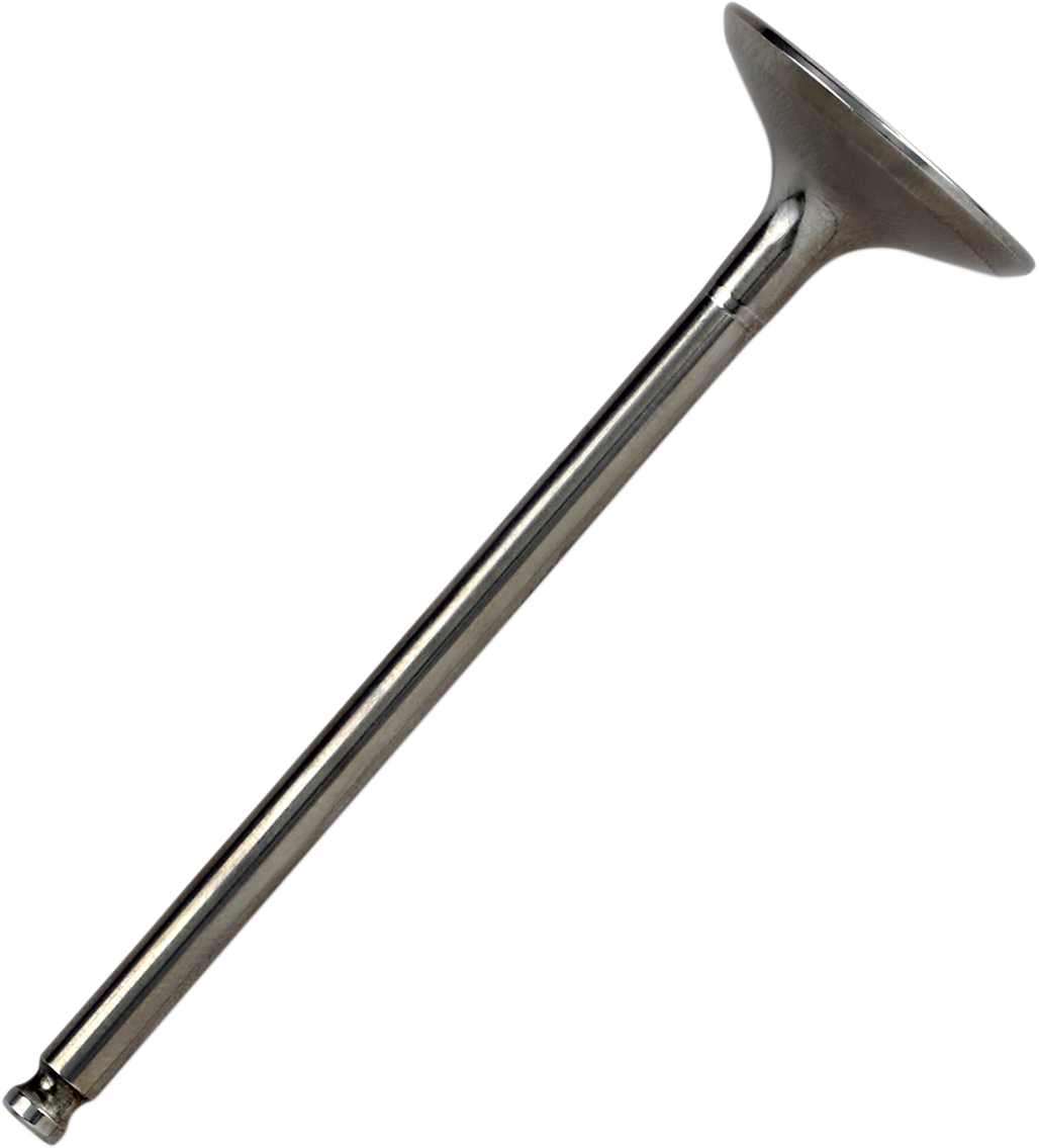 09262759_0.png