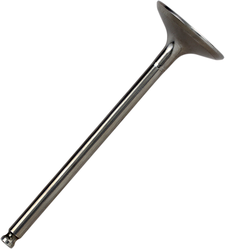 09262759_0.png