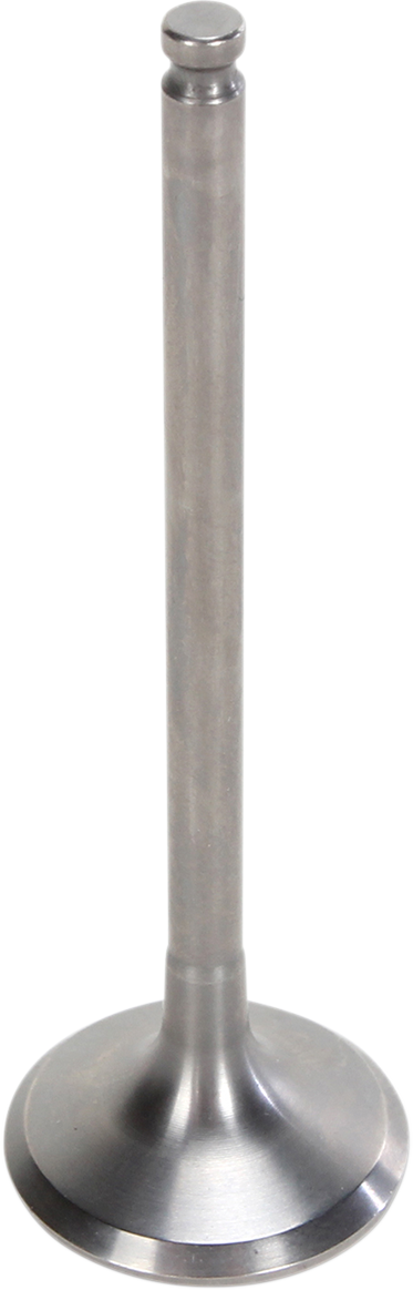 09262764_0.png