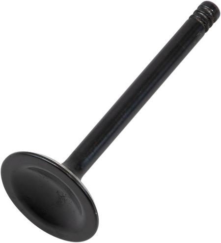 09262849_0.png