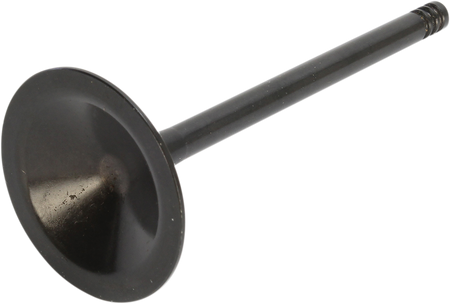 09262866_1.png