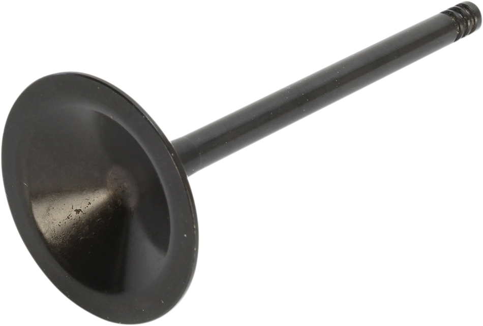 09262866_1.png
