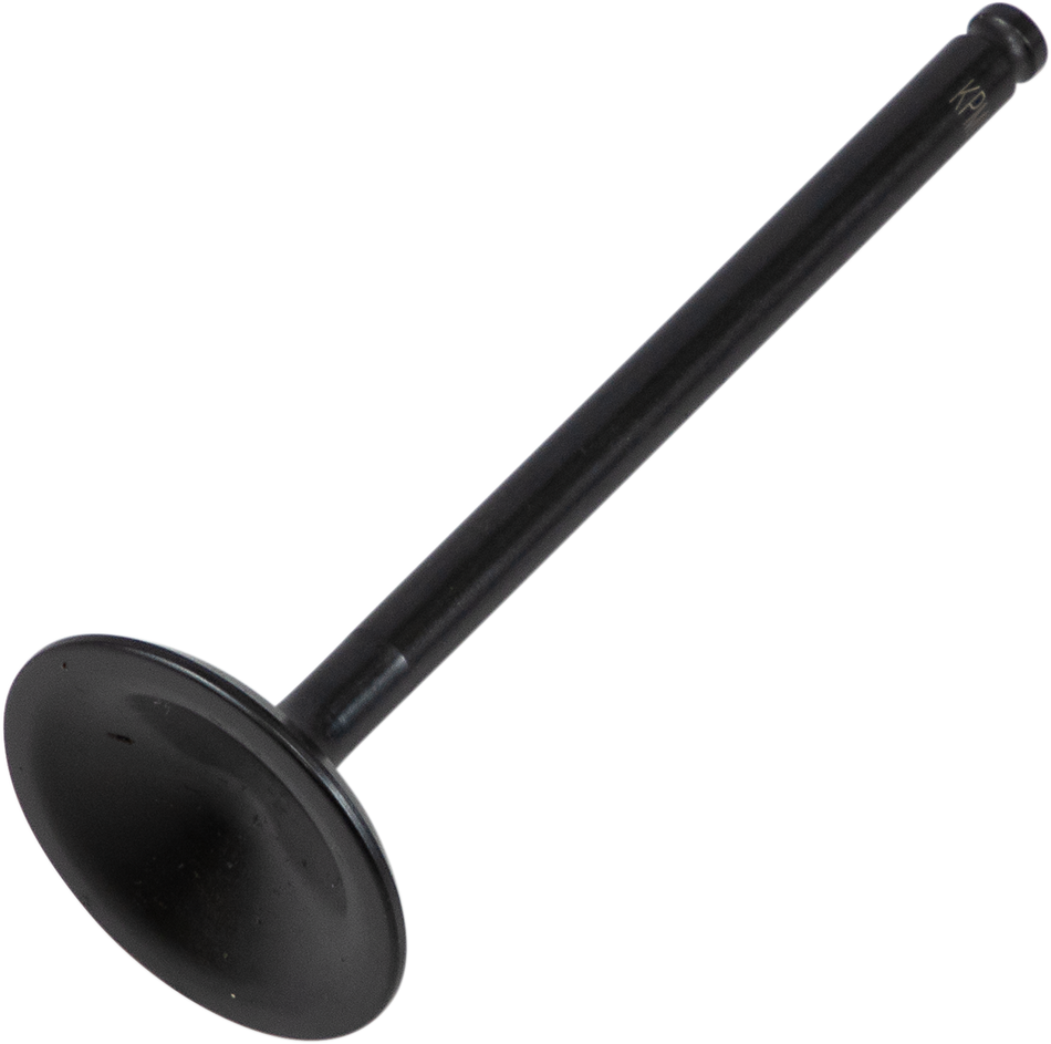 09262919_0.png