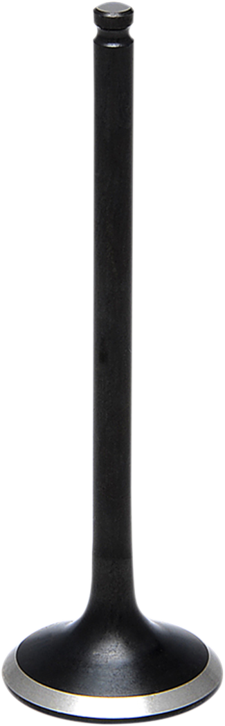 09263043_1.png