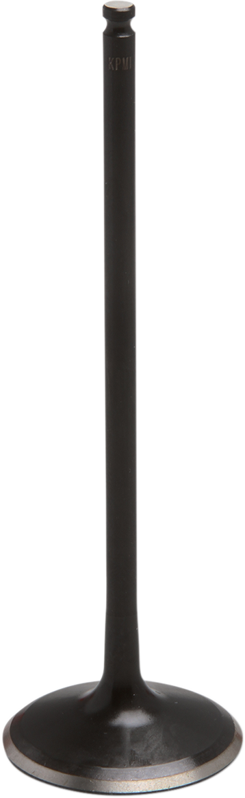 09263249_0.png