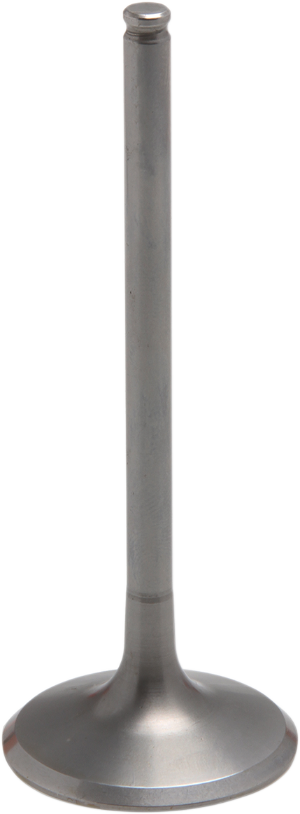 09263284_0.png