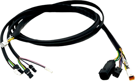0cea-62cc3bc9bcc04.png