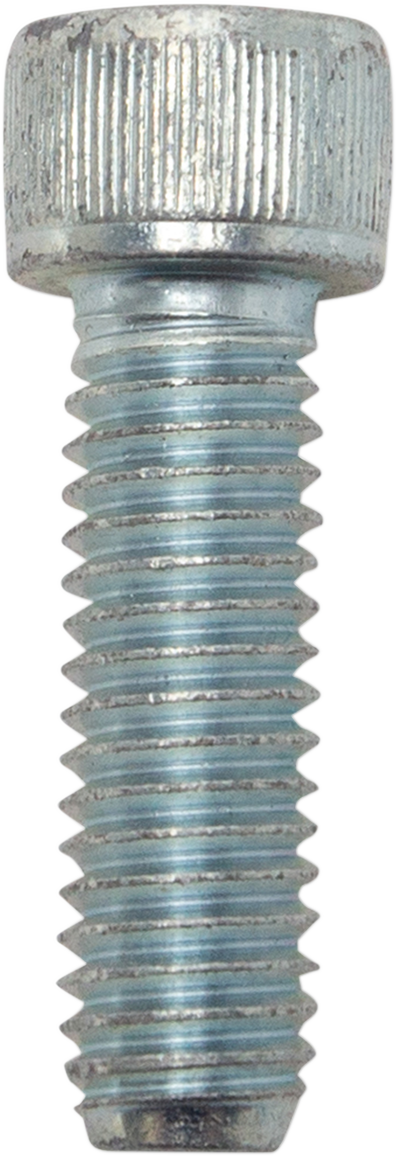 10031731_0.png