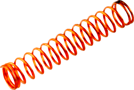 10031997_0.png