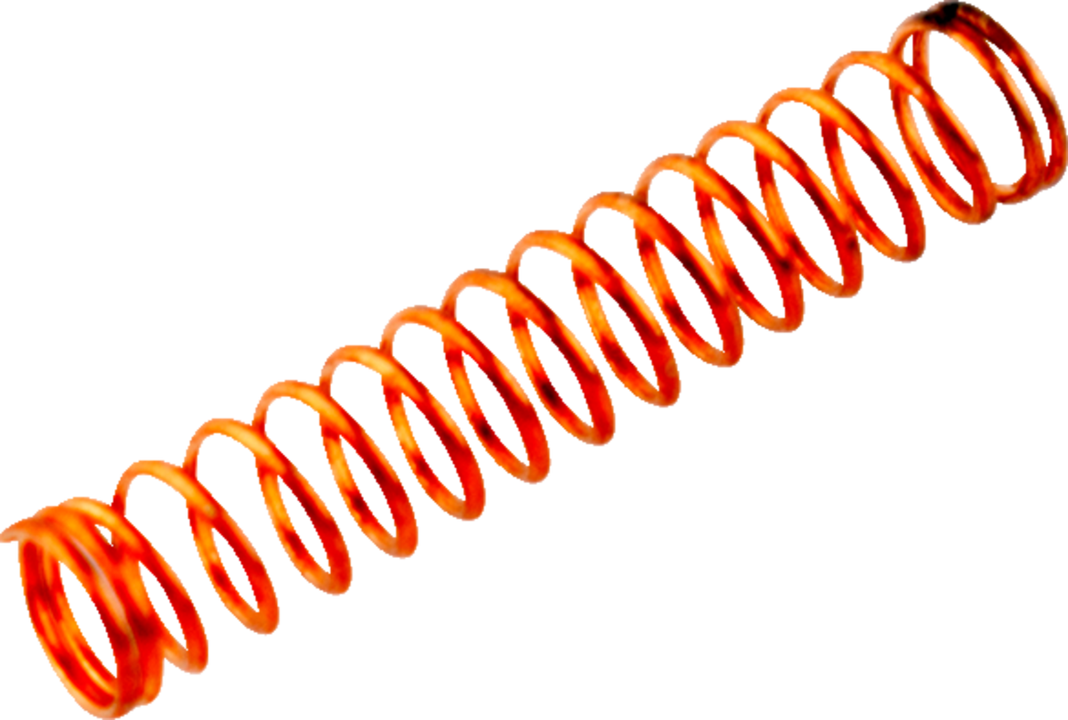 10031997_1.png