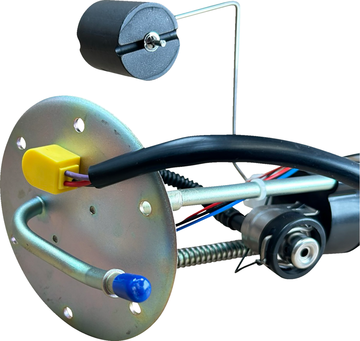 10090196_1.png